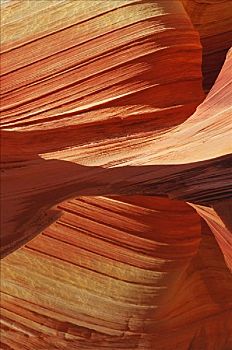 砂岩,岩石构造,亚利桑那,美国