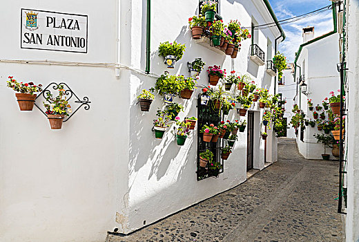小巷,老城区,村镇,别墅,科多巴,省,安达卢西亚,西班牙,欧洲