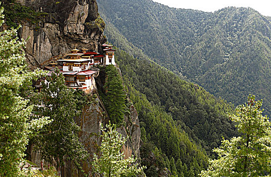 虎穴寺,崖面,不丹,山谷,靠近,喜马拉雅山,英国