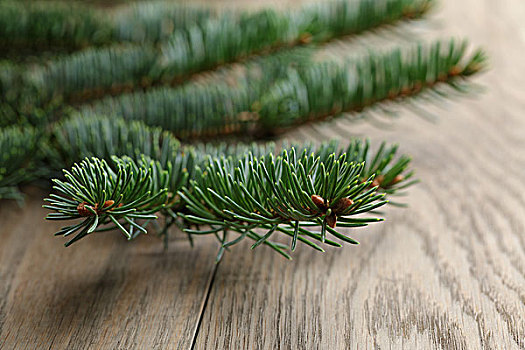 杉枝,橡树,桌子,特写,圣诞节,照相