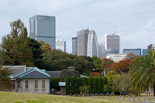 日本东京新宿御苑