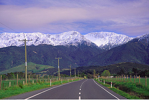 道路,新西兰