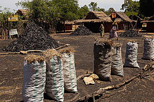 木碳,销售,南,马达加斯加