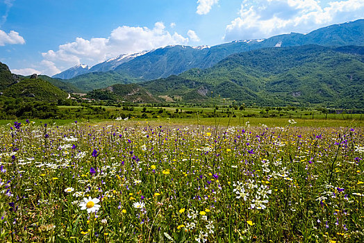 花地,山谷,靠近,吉洛卡斯特拉,阿尔巴尼亚,欧洲