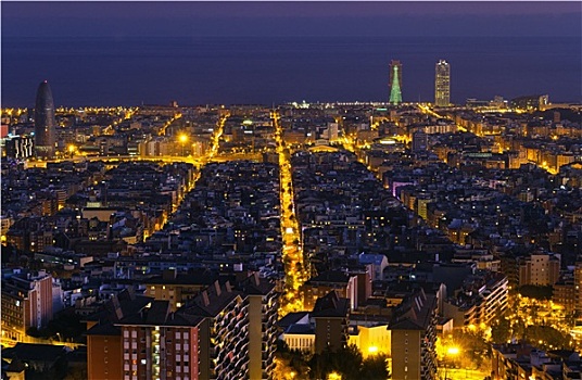 夜晚,全景,城市,巴塞罗那,西班牙