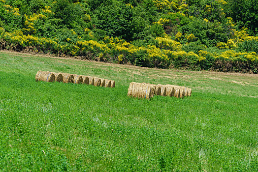 法国普罗旺斯夏天农村农庄草原和草垛