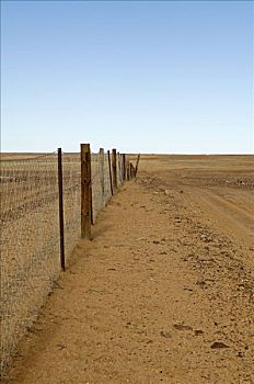 局部,澳洲野狗,栅栏,南澳大利亚,澳大利亚