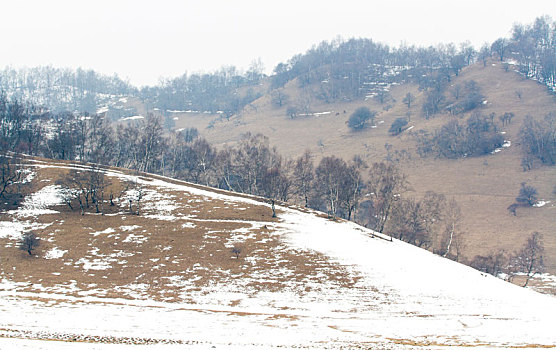 雪景