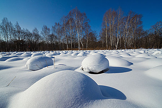 三江湿地桦树塔头雪景15