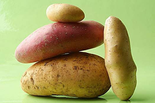 不同,品种,土豆