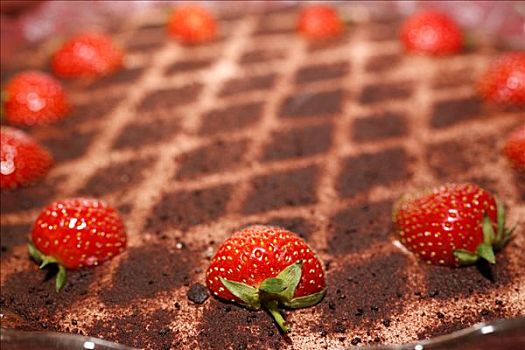 草莓,巧克力蛋糕