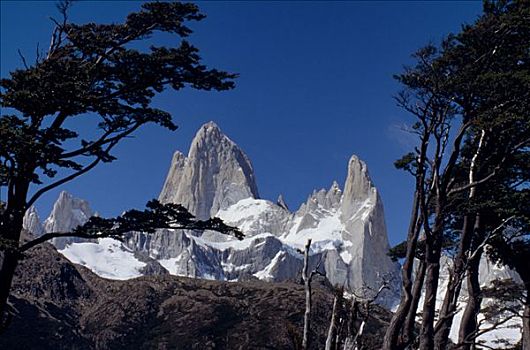 阿根廷,圣克鲁斯省,洛斯格拉希亚雷斯国家公园,菲茨罗伊,框架,树,花冈岩,顶峰,脚,高处,海平面,第一,攀爬