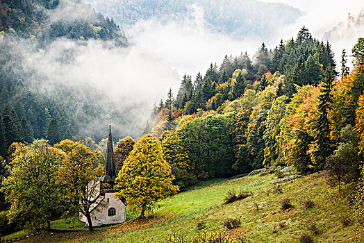 教堂,雾,山谷,秋天,靠近,黑森林,巴登符腾堡,德国,欧洲
