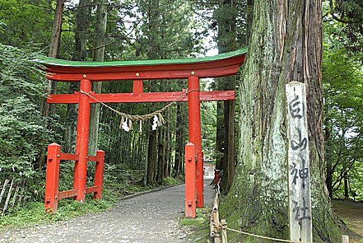 庙宇,神祠,入口