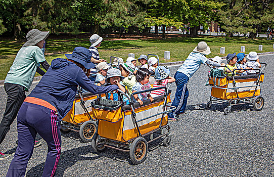 日本,京都,孩子,运输