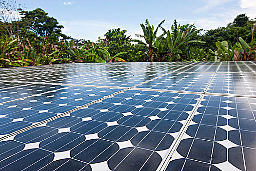 太阳能电池板,蓝天,能源,生物学,车站,心形,雨林,哥斯达黎加