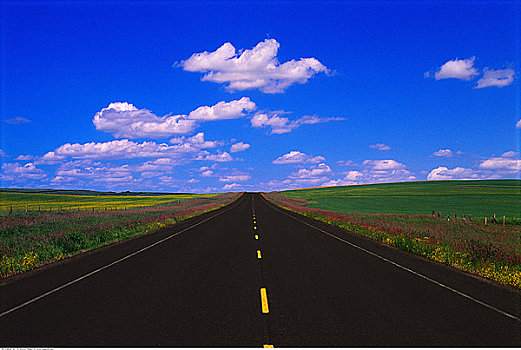 草原,公路,路线,东方,德兰赫勒,艾伯塔省,加拿大
