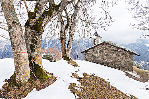 教堂,小,乡村,大帕拉迪索国家公园,意大利阿尔卑斯山,意大利
