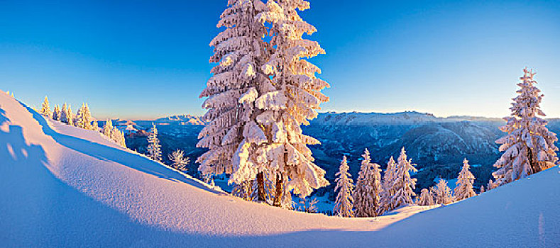 冬天,阿尔卑斯山,奥地利