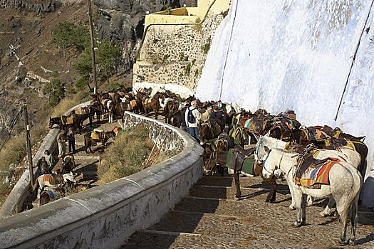 驴,楼梯,锡拉岛,希腊