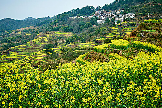 婺源县篁岭