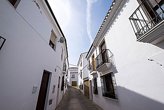 白色,建筑,别墅,附近,中心,科多巴,安达卢西亚,南方,西班牙