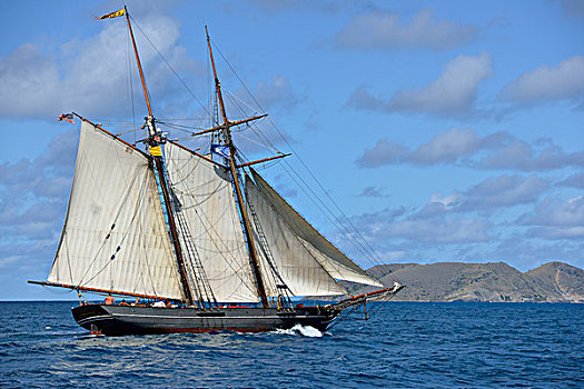 英属维京群岛,堤岸,自由,纵帆船,帆,大幅,尺寸