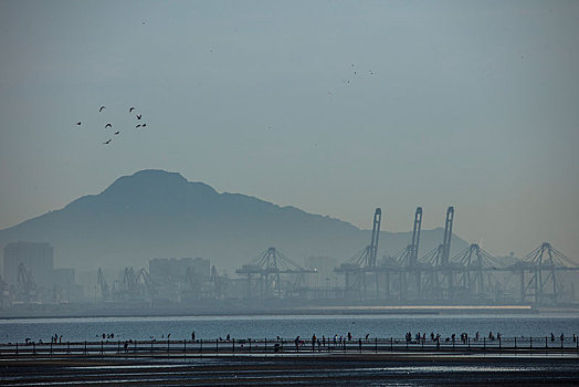 湿地,北戴河,秦皇岛,海滩,大潮坪,鸽子窝,落潮,涨潮,环保,保护