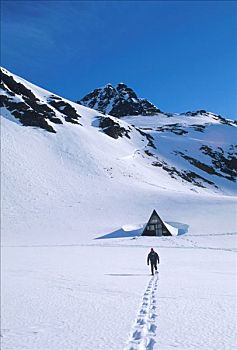 男人,雪鞋,楚加