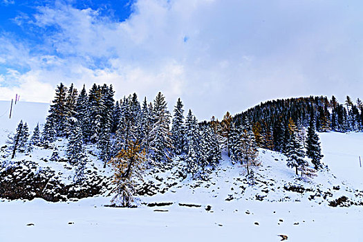 东天山雪景美如画