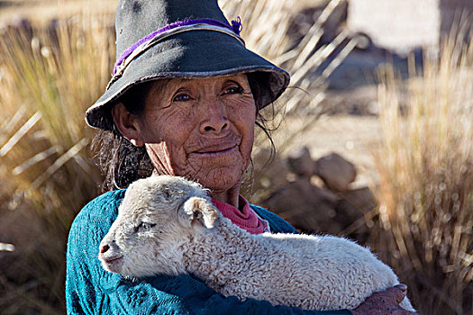 秘鲁人,女人,戴着,帽子,孩子,羊羔,库斯科,秘鲁,南美