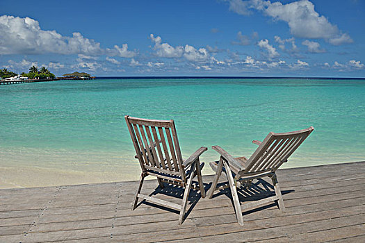 两个,椅子,床,树林,热带沙滩,蓝色,海洋,背景