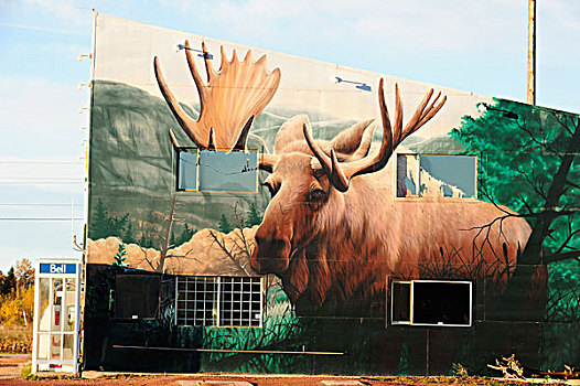 驼鹿,特色,加拿大,壁画,安大略省