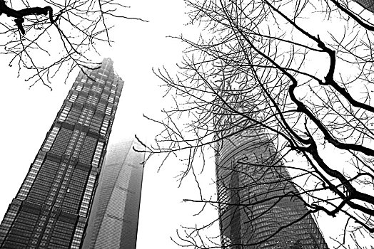 上海建筑线条