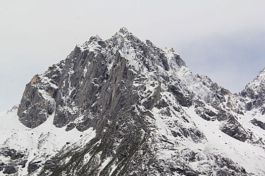 毕棚沟,川西,四姑娘山,雪山,高原彩林