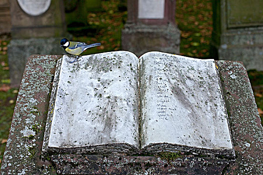 书本,墓地,斯图加特,巴登符腾堡,德国