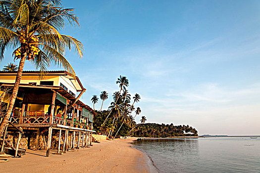 房子,海滩,南海岸,苏梅岛,泰国,亚洲