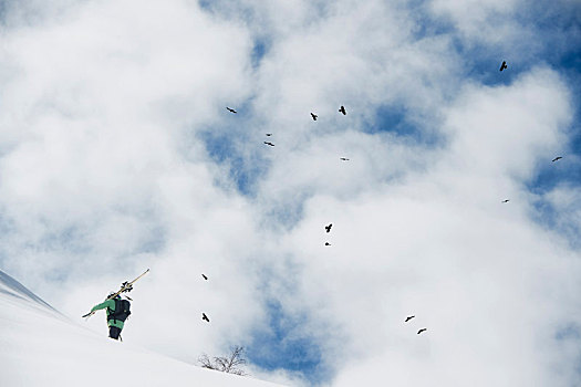 男性,滑雪,向上,积雪,山,隆河阿尔卑斯山省,法国