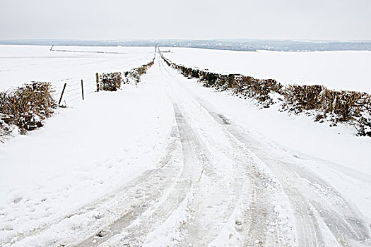 轮胎印,雪,乡村道路