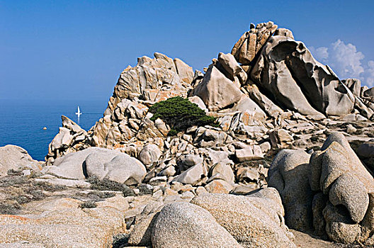 岩石海岸,岩石构造,萨丁尼亚,意大利,欧洲
