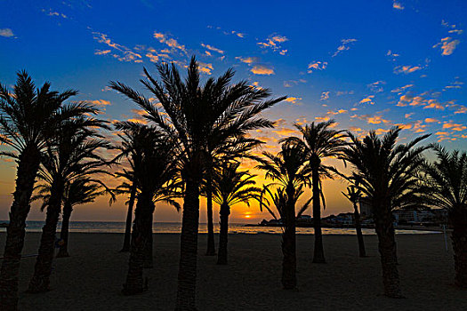 海滩,日出,地中海,阿利坎特,西班牙