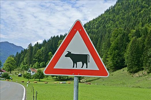 交通标志,小心,牛