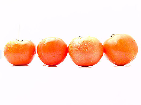 西红柿,隔绝,白色背景,背景