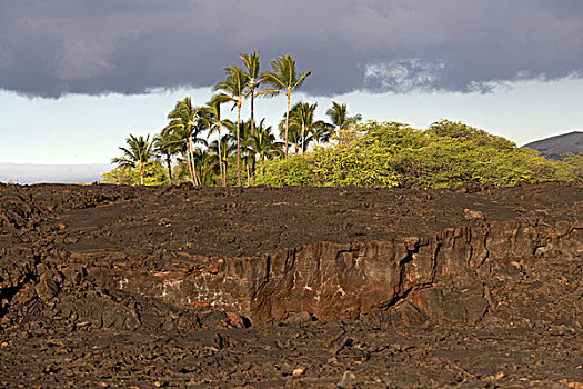 火山岩,靠近,瓦克拉,大,岛屿,夏威夷,美国