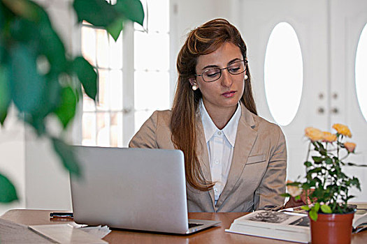 职业女性,笔记本电脑,读,书本,办公室,书桌