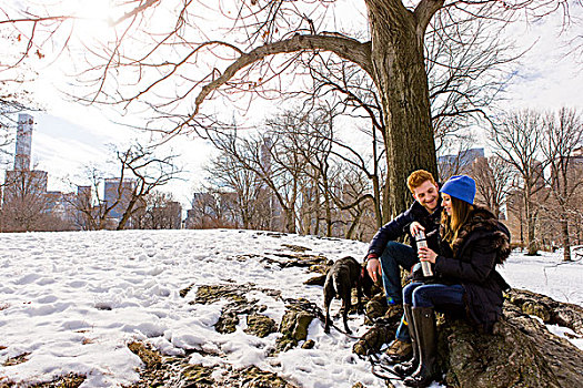 年轻,情侣,坐,狗,饮料,长颈瓶,雪,中央公园,纽约,美国