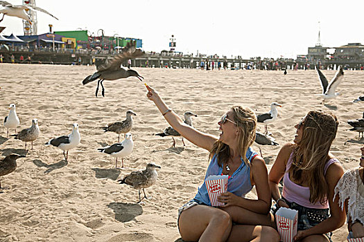 三个女人,年轻,坐,海滩,围绕,海鸥