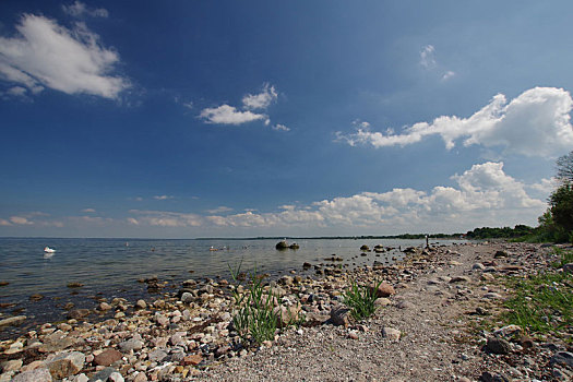 波罗的海,自然,海滩,靠近,地区,西北地区,梅克伦堡,北德