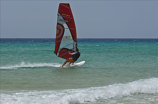 风帆冲浪者,海滩,富埃特文图拉岛,加纳利群岛,西班牙