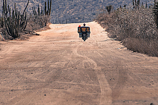 男人,骑,摩托车,卡波圣卢卡斯,下加利福尼亚州,墨西哥